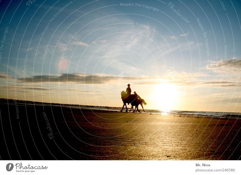 cowboys on dope Reiten Ferien & Urlaub & Reisen Ausflug Abenteuer Sommer Sommerurlaub Sonne Strand Meer Reitsport Umwelt Natur Landschaft Himmel Wolken Klima