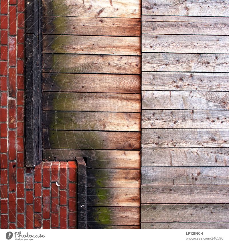 L wie ... Lüneburg Deutschland Europa Kleinstadt Mauer Wand Holz Backstein Zeichen rot Balken Linie außergewöhnlich Farbfoto mehrfarbig Außenaufnahme