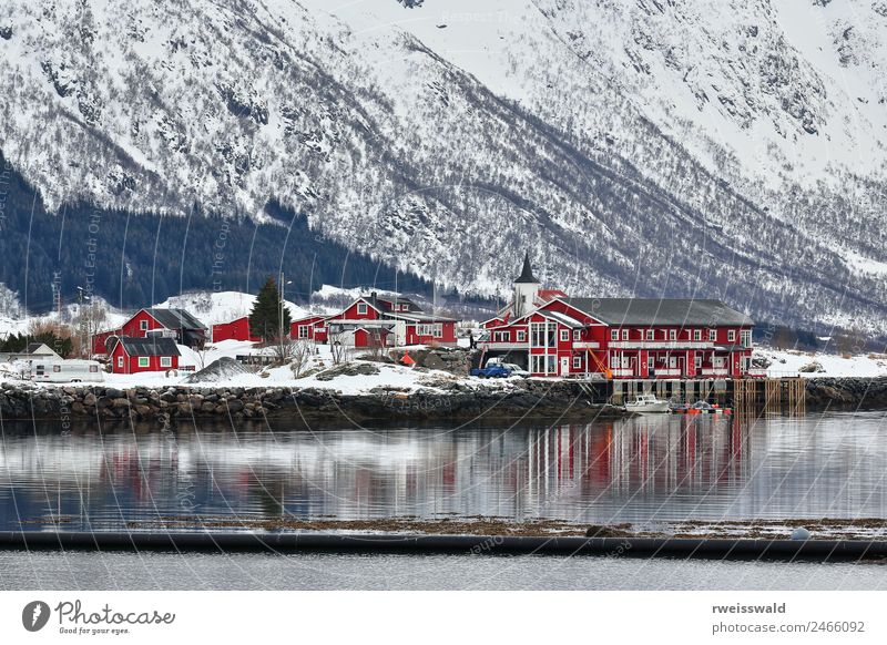 Sildpollnes-penins.from Sildpolltjonna-inlet. Lofoten-Norwegen.115 Winter Schnee Berge u. Gebirge Haus Umwelt Natur Landschaft Wasser Klima Wetter Eis Frost