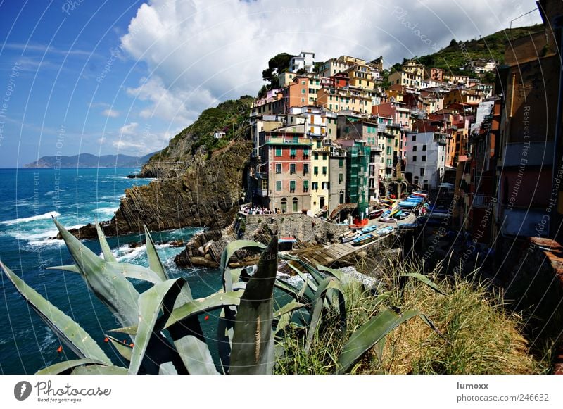 riomaggiore Ferien & Urlaub & Reisen Tourismus Ausflug Ferne Sightseeing Häusliches Leben Natur Wasser Wolken Sonnenlicht Sommer Aloe Wellen Küste Bucht Meer