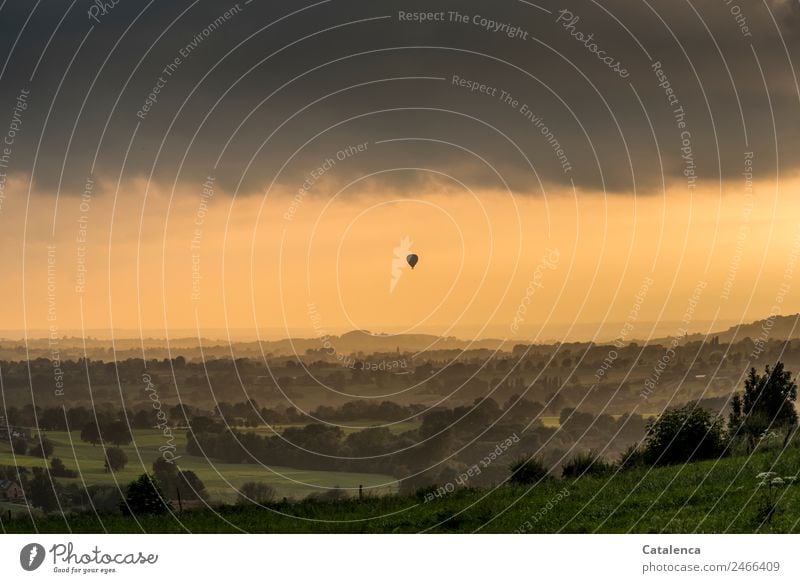 Ins Abendlicht entschweben; Heißluftballon am Abendhimmel Abenteuer Ferne Freiheit Sommer Ballonfahrt Landschaft Himmel Wolken Baum Gras Wiese Feld Wald Haus