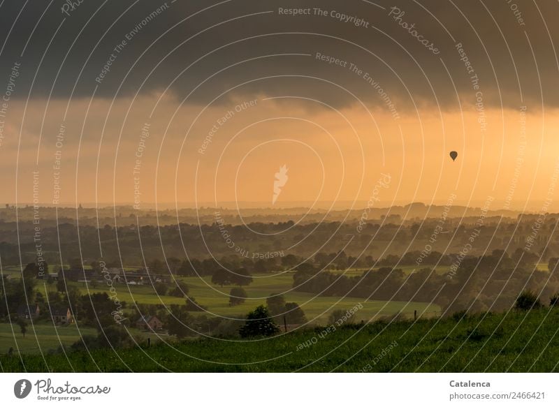 Heiße Luft; am Abendhimmel schwebt ein Heißluftballon Ausflug Ballone Umwelt Landschaft Wolkenloser Himmel Horizont Sommer Schönes Wetter Baum Gras Sträucher