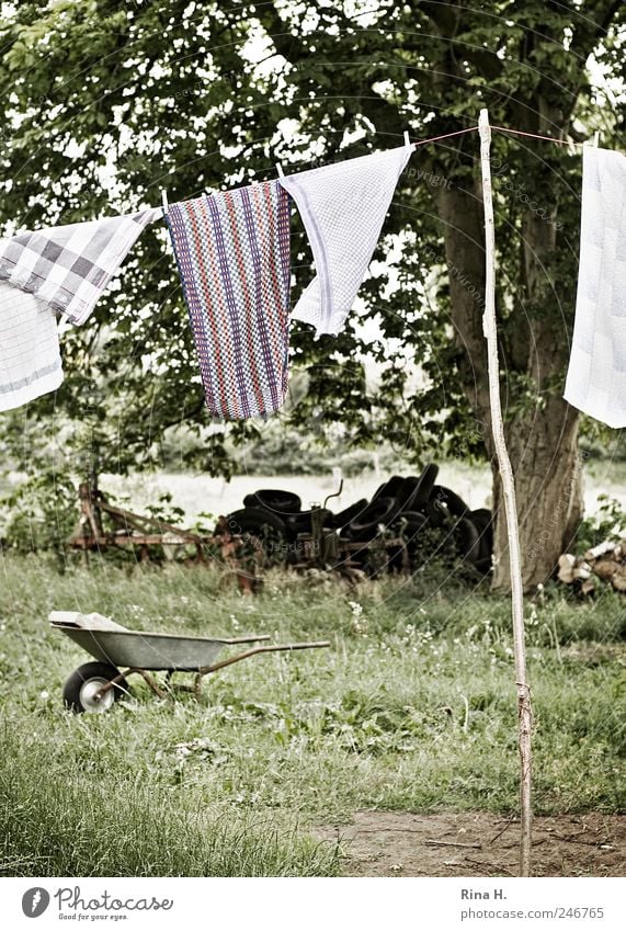 Landleben II Landschaft Pflanze Sommer Baum Wiese hängen authentisch Reinlichkeit Sauberkeit Reinheit Wäsche Wäscheleine trocknen Schubkarre Autoreifen Handtuch