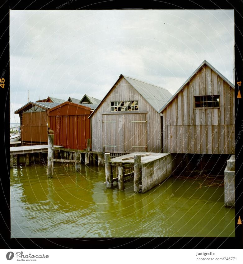 Am Bodden Umwelt Natur Wasser Himmel Wolken Küste Seeufer Vorpommersche Boddenlandschaft Darß Haus Hütte Hafen Bauwerk Gebäude Bootshaus Fassade einzigartig