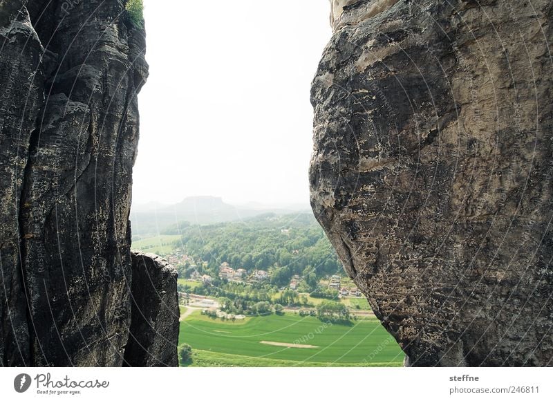 Between a rock and a hard place Umwelt Landschaft Wolkenloser Himmel Schönes Wetter Wald Felsen Berge u. Gebirge Elbsandsteingebirge fest hart Stein Schlucht