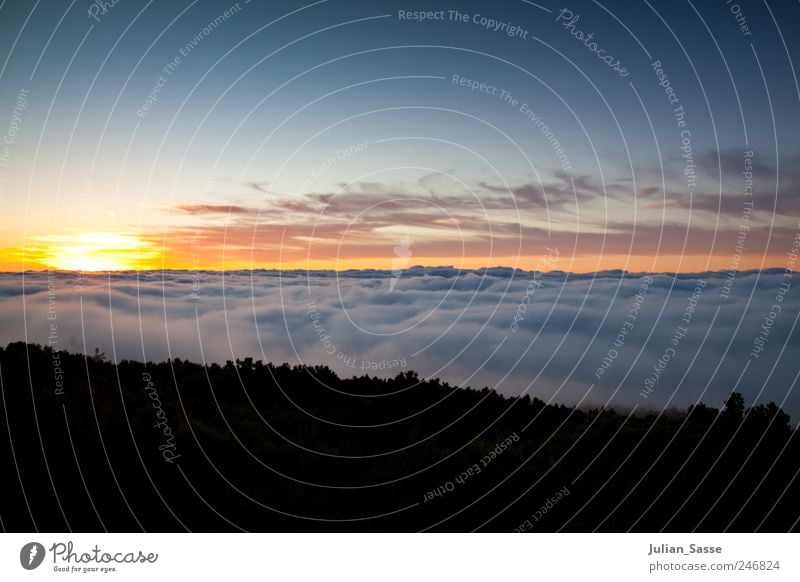 High Sunset Landschaft Himmel Wolken Horizont Sonne Sonnenaufgang Sonnenuntergang Sonnenlicht Sommer Berge u. Gebirge blau Teneriffa Teide über den Wolken weich