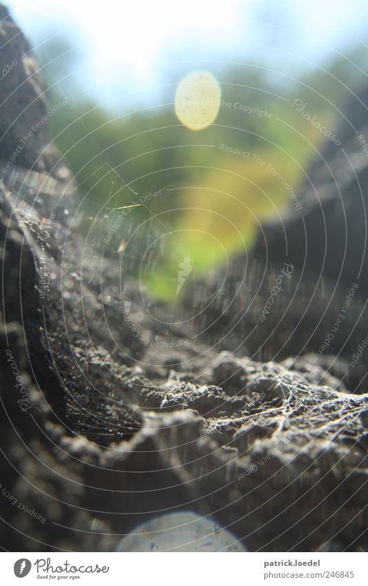 Caught up Natur Urelemente Felsen Berge u. Gebirge Spinne bedrohlich eckig gruselig wild Spinnennetz Felsspalten Lichtpunkt Unschärfe Angst Hoffnung Klettern