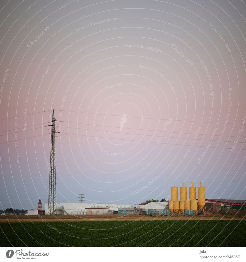 landwirtschaft Landwirtschaft Forstwirtschaft Himmel Pflanze Nutzpflanze Feld Haus Bauwerk Gebäude natürlich blau grün rosa Strommast Silo Farbfoto