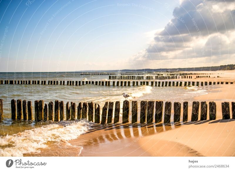 Ostseestrand in Polen Ferien & Urlaub & Reisen Sommer Strand Post Natur Sand Küste maritim Tourismus Buhnen alt Sandstrand Brandung Wolken Wolkenzug blau Himmel