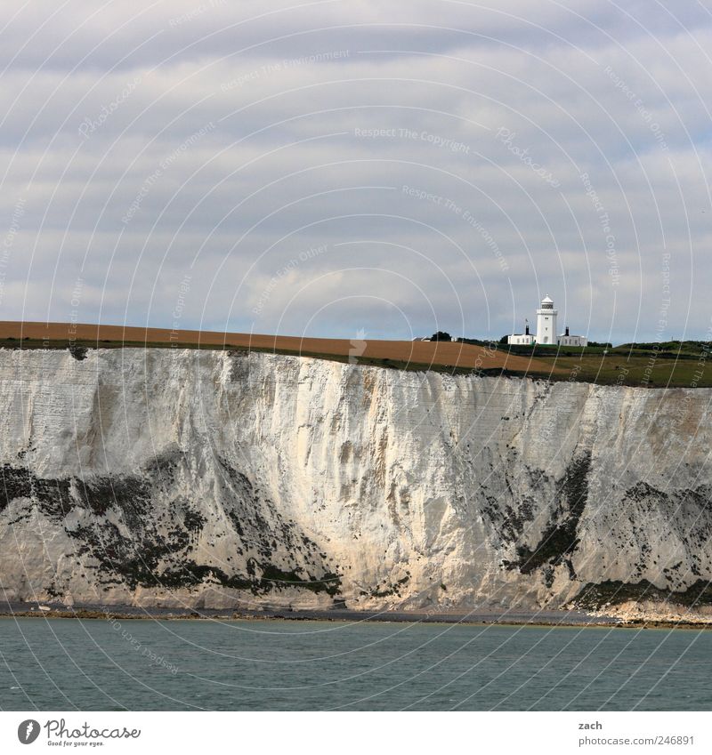 white cliffs Natur Landschaft Wasser Pflanze Gras Hügel Felsen Küste Nordsee Meer Ärmelkanal White Cliffs Klippe Kreidefelsen Sehenswürdigkeit Stein Sand weiß