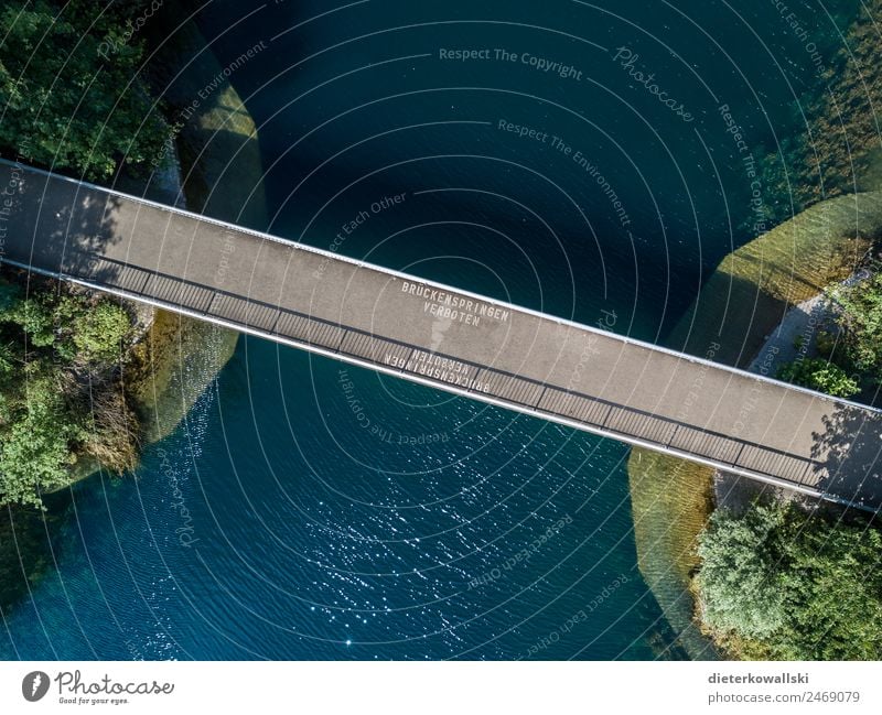 Brücke Umwelt Wasser Bewegung Schwimmen & Baden springen Badesee Verbote auffordern Natur Wasserfahrzeug Sommer gefährlich Risiko Außenaufnahme Tag