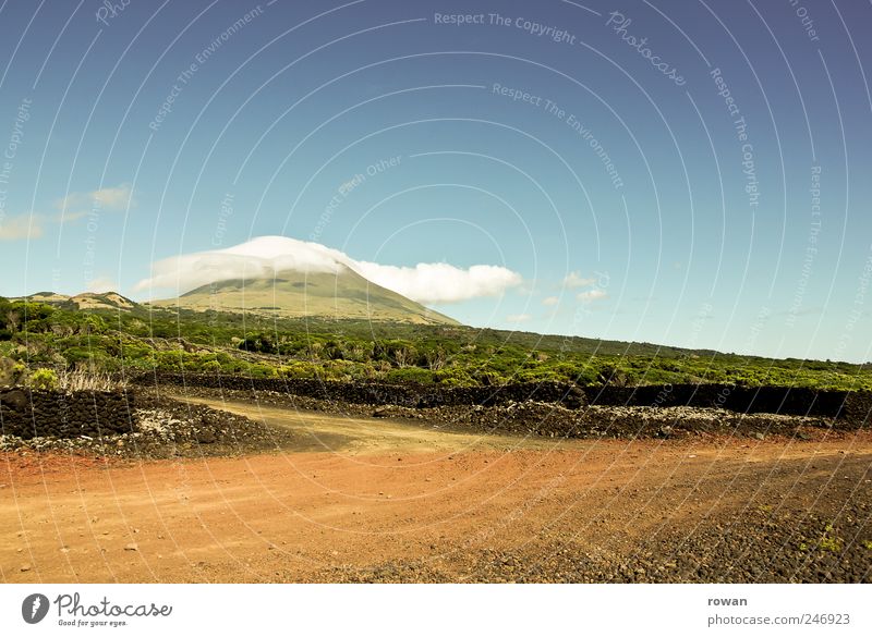 pico Umwelt Natur Landschaft Pflanze Erde Sommer Schönes Wetter Feld Hügel Berge u. Gebirge heiß hell Straße Sand Pico Azoren Kies Farbfoto Außenaufnahme