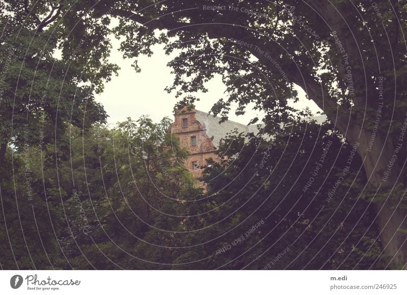 schönheit ist meist versteckt.. Natur Landschaft Pflanze Garten Park Gießen Burg oder Schloss alt Farbfoto Außenaufnahme Tag