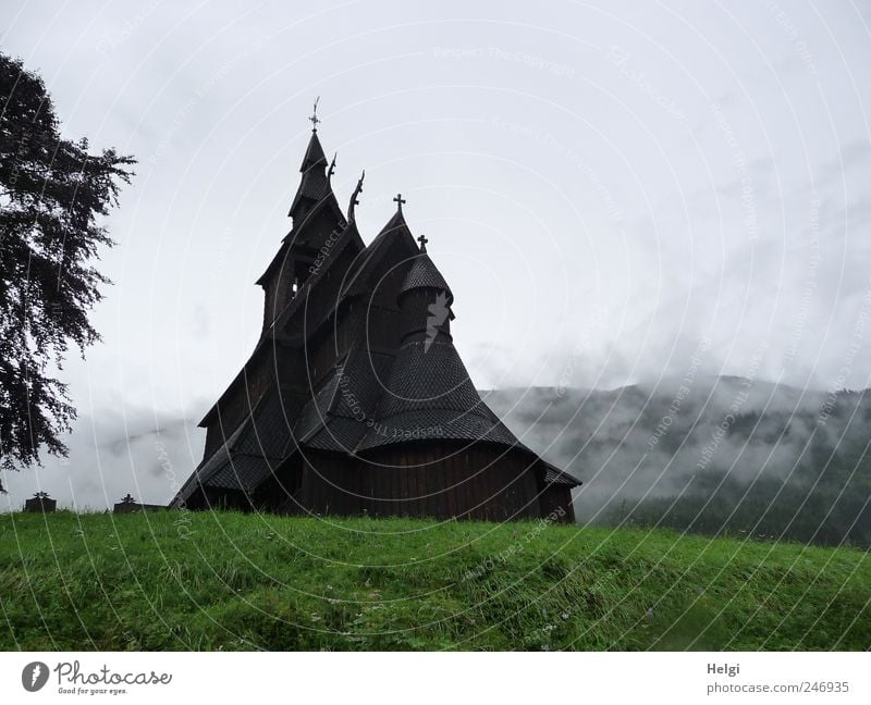 geheimnisvoll... Ferien & Urlaub & Reisen Tourismus Sightseeing Sommer Berge u. Gebirge Natur schlechtes Wetter Nebel Baum Gras Norwegen Dorf Kirche Bauwerk