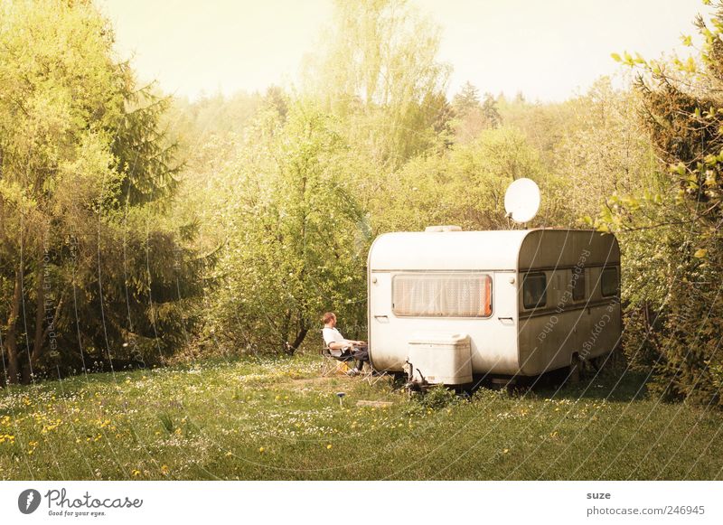 Urwüchsiger Erholung Freizeit & Hobby Camping Sommer Ruhestand Feierabend Mensch Mann Erwachsene Umwelt Natur Landschaft Pflanze Schönes Wetter Baum Gras