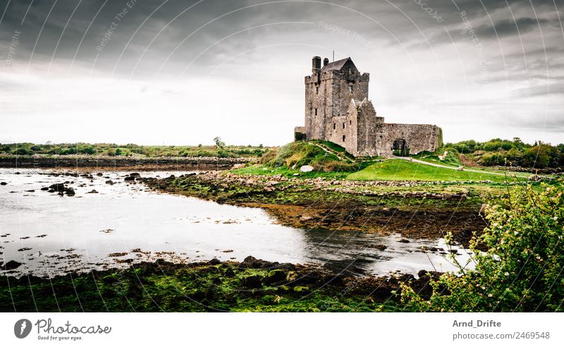 Irland - Dunguaire Castle Ferien & Urlaub & Reisen Tourismus Ausflug Abenteuer Ferne Sightseeing Sommer Sommerurlaub Landschaft Himmel Wolken Frühling Park