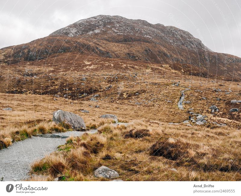 Irland - Diamond Hill Ferien & Urlaub & Reisen Tourismus Ausflug Abenteuer Ferne Sommer wandern Natur Landschaft Pflanze Urelemente Himmel Wolken Frühling