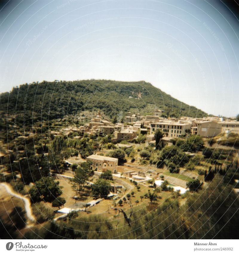 Mallorca, Mallorca... Natur Landschaft Himmel Sommer Schönes Wetter Baum Hügel Dorf Menschenleer Gebäude Fenster Tür historisch trist trocken mediterran