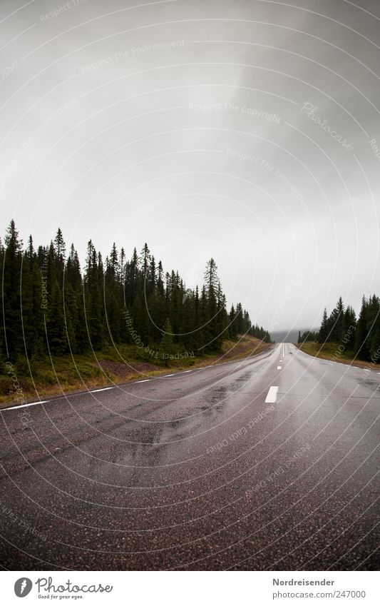 Kilometer fressen Güterverkehr & Logistik Natur Landschaft Gewitterwolken Sommer Klima Wetter schlechtes Wetter Regen Wald Verkehr Straßenverkehr Autofahren