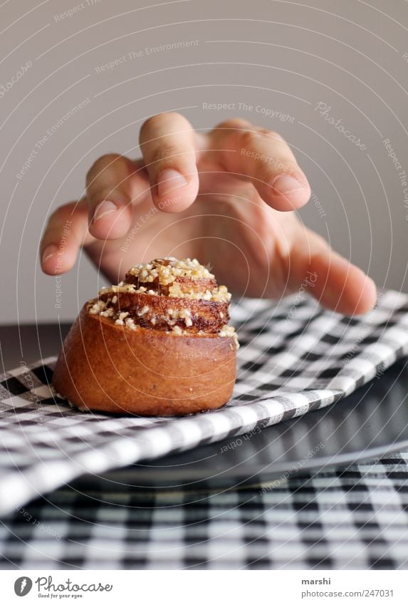 Versuchung Lebensmittel Teigwaren Backwaren Kuchen Süßwaren Ernährung Essen süß braun Hand Gier lecker Appetit & Hunger Farbfoto Innenaufnahme verführerisch