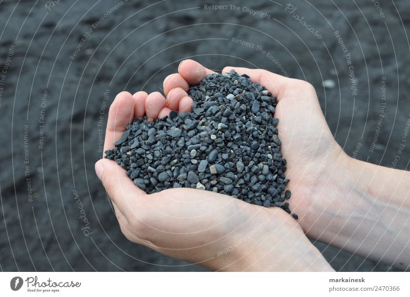 Dein Glück liegt in deinen Händen. Hand Natur Sand Island Denken Liebe träumen Fröhlichkeit gut schön positiv grau schwarz Gefühle Stimmung Freude Kraft