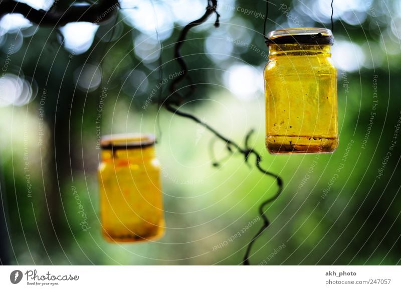 Windlichter Garten Dekoration & Verzierung Kerze Glas rund gelb grün Warmherzigkeit Romantik Stimmung gemütlich selbtgemacht gebastelt bemalt Farbfoto