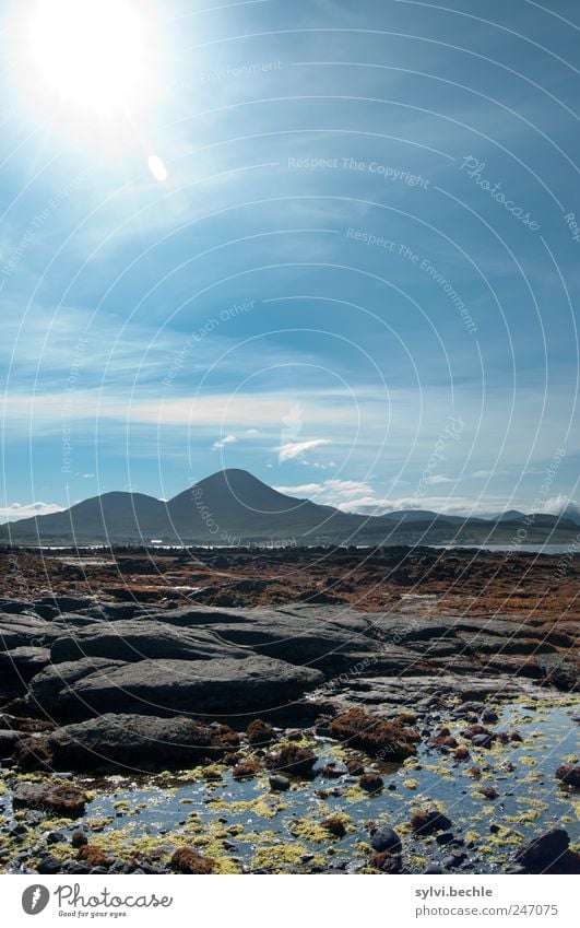 Schottland IV Umwelt Natur Landschaft Urelemente Wasser Himmel Wolken Sonne Sommer Klima Klimawandel Schönes Wetter Pflanze Hügel Berge u. Gebirge Küste Bucht