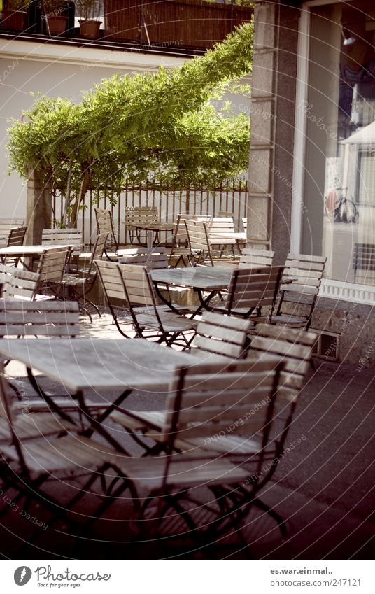 frühstücken gehen. Pflanze sitzen Café Stuhl Tisch leer gemütlich Außenaufnahme Morgen