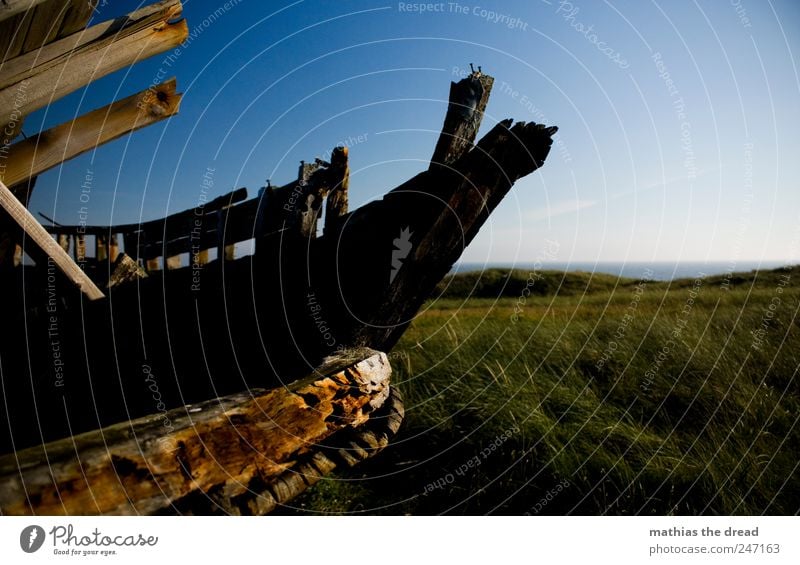 DÄNEMARK - XXIII Umwelt Natur Landschaft Himmel Horizont Sommer Schönes Wetter Wind Gras Sträucher Wiese Küste Schifffahrt Bootsfahrt Fischerboot Holz alt