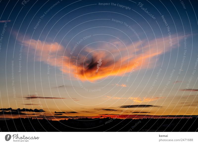 Wilde Wolke Wohlgefühl Zufriedenheit Sinnesorgane Erholung ruhig Abenteuer Ferne Freiheit Sommer Umwelt Natur Himmel Wolken Schönes Wetter Wärme außergewöhnlich