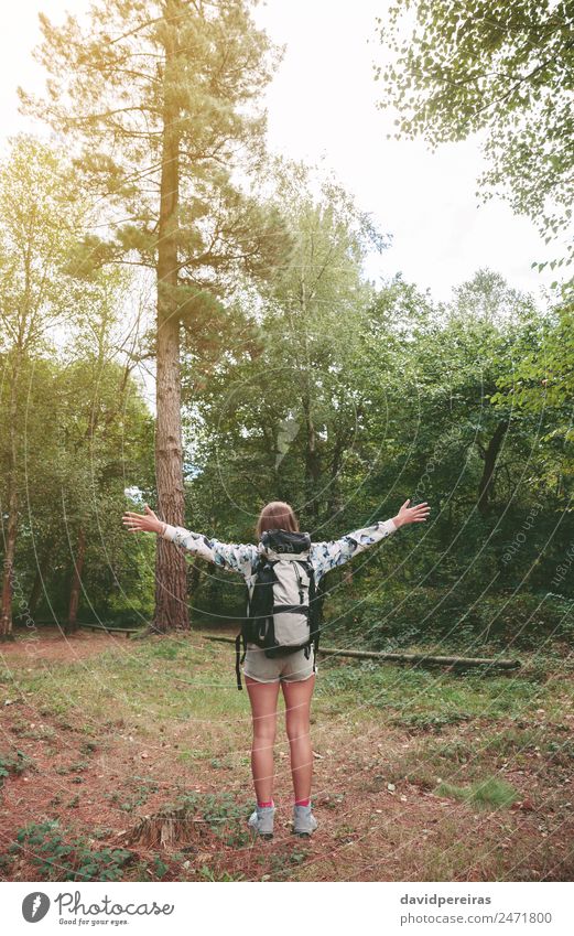 Wanderin mit Rucksack, die ihre Arme in den Wald hebt. Lifestyle Freude Glück Erholung Freizeit & Hobby Ferien & Urlaub & Reisen Ausflug Abenteuer Freiheit