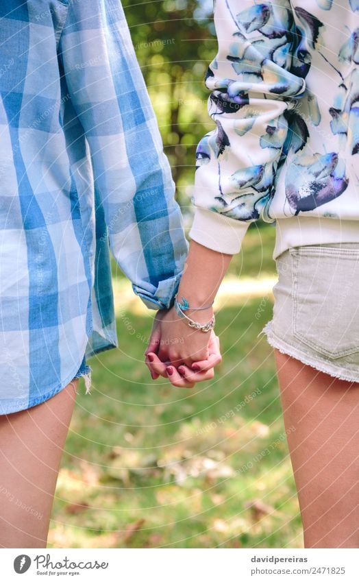 Nahaufnahme von Frauen, die Hände über dem Naturhintergrund halten. Lifestyle Glück Leben Freizeit & Hobby Sommer Mensch Erwachsene Freundschaft Paar Hand