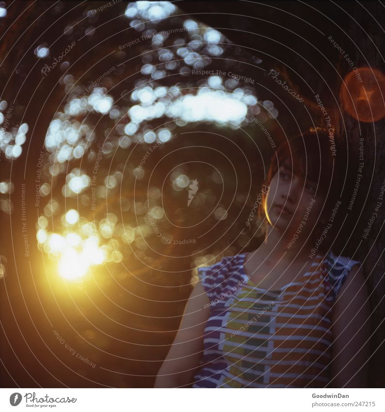 Wärme. III Mensch feminin Junge Frau Jugendliche Erwachsene 1 Umwelt Natur Pflanze Baum Sträucher Park authentisch frei schön viele Stimmung Farbfoto