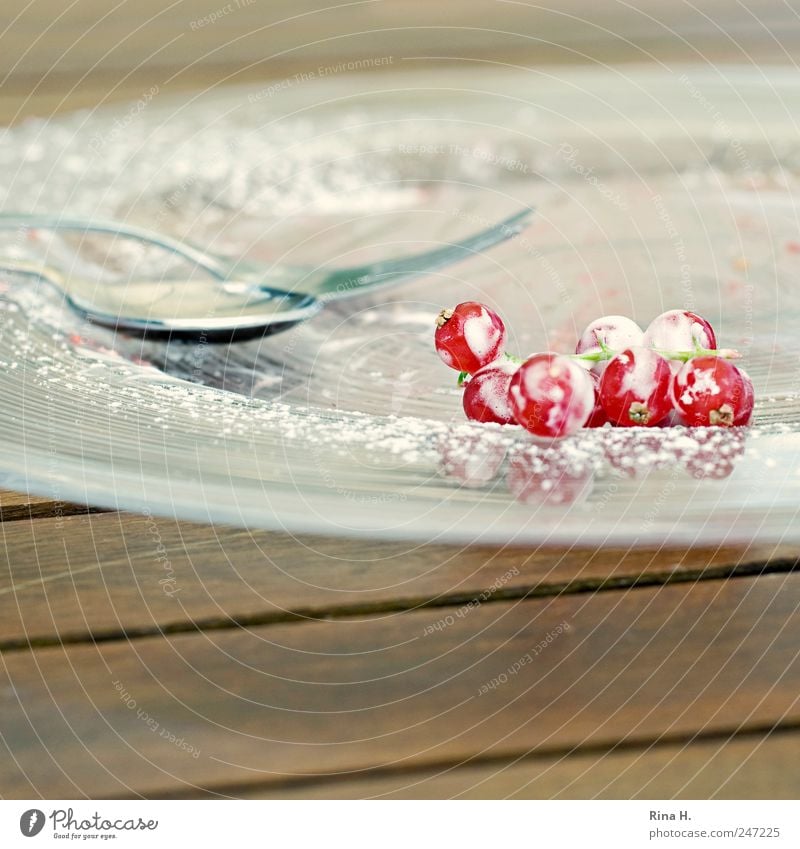 Marillenknödel an frischen Sommerbeeren Frucht Dessert Geschirr Teller Besteck Gabel Löffel genießen hell lecker saftig sauer rot weiß Lebensfreude Puderzucker