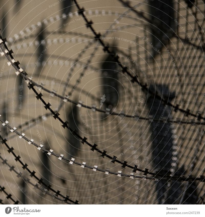 Stacheldraht Justizvollzugsanstalt Mauer Wand Zaun Gitter Denkmal Metall Linie dunkel trist Hoffnung Schmerz schuldig Angst Verzweiflung Verbitterung Rache