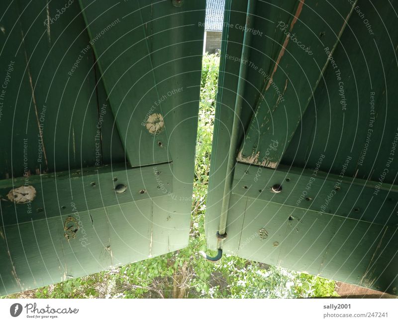 Hinter grünen Läden Fenster Holz beobachten entdecken Blick Neugier Hemmung Häusliches Leben Fensterladen geschlossen geheimnisvoll Farbfoto Innenaufnahme