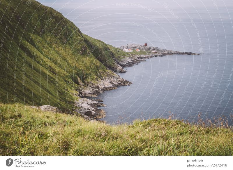 Küste von Runde in Norwegen Ferien & Urlaub & Reisen Insel wandern Natur Landschaft Wasser Horizont Gras Bucht Meer Menschenleer natürlich grün ruhig Europa