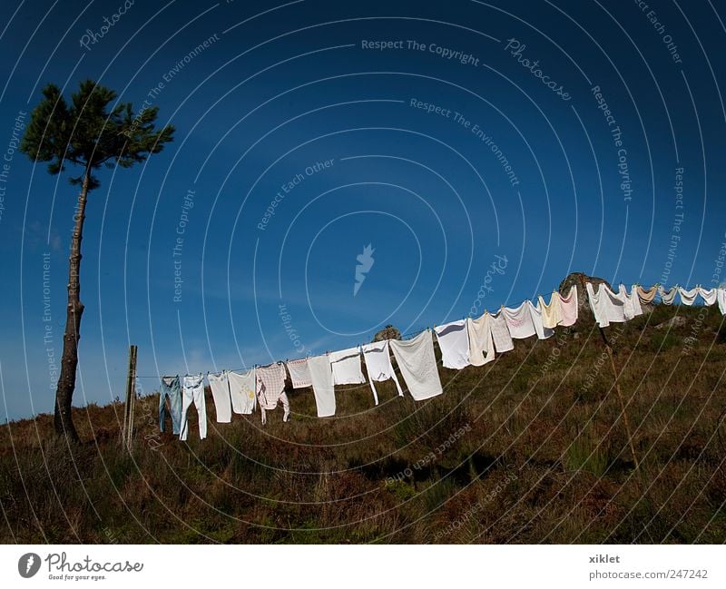 Kleidung Bekleidung trocken Ausziehen der Kleidung in der Sonne Berge u. Gebirge Baum Kiefer Sträucher weiß blau Himmel Sommer heizen Dorf alte Gewohnheit