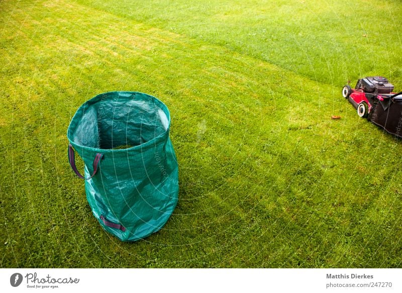 Wer die Nachbarn ärgern will... Gartenarbeit ästhetisch authentisch einfach Rasenmäher rasenmähen Arbeit & Erwerbstätigkeit Park Sack Gras Sportrasen Grasland