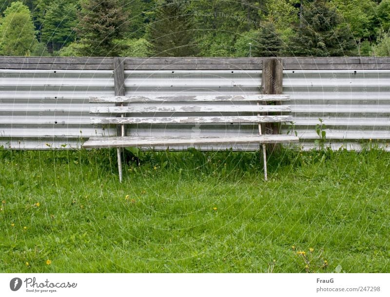 Tarnung Sommer Bank Baum Gras Sträucher Zaun Erholung sitzen grau verfallen Farbfoto Außenaufnahme