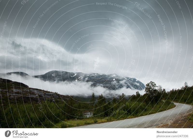 Radius Ausflug Ferne Freiheit Berge u. Gebirge Natur Landschaft Klima Wetter schlechtes Wetter Regen Wald Gipfel Schneebedeckte Gipfel Verkehr Autofahren Straße