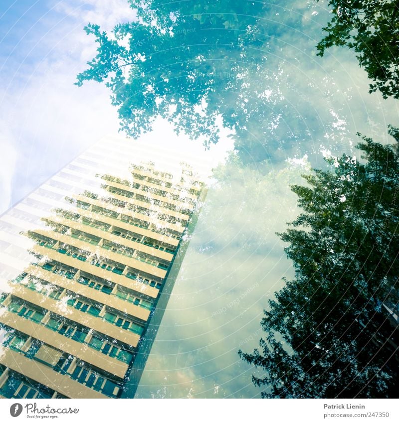 Parallelwelten Umwelt Natur Landschaft Urelemente Himmel Wolken Wetter Baum Wald Stadt Haus Hochhaus Bauwerk Gebäude Architektur ästhetisch hoch schön