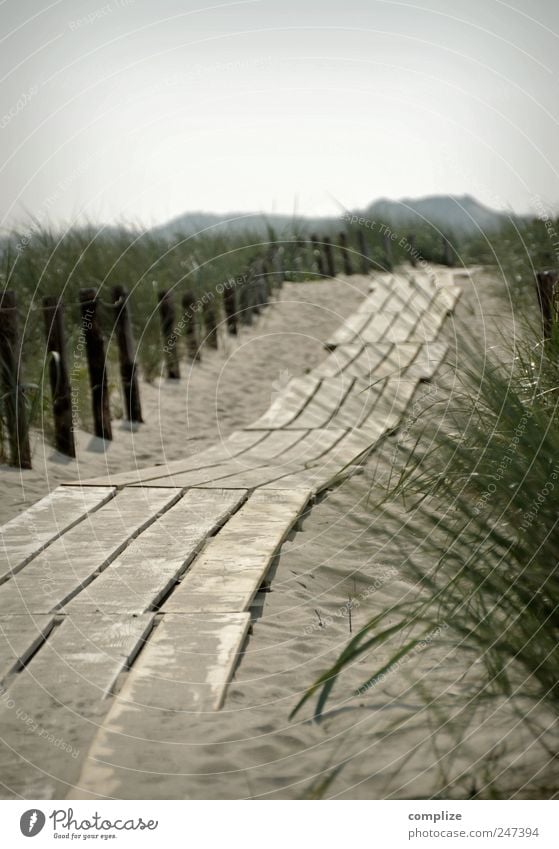 Steg Wohlgefühl Erholung Ferien & Urlaub & Reisen Tourismus Sommer Sommerurlaub Strand Meer Natur Sand Schönes Wetter Wiese Küste Nordsee Horizont Idylle