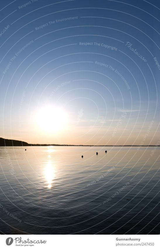 links der Förde Angeln Ferien & Urlaub & Reisen Freiheit Sommerurlaub Meer Schwimmen & Baden Landschaft Wasser Himmel Horizont Sonnenaufgang Sonnenuntergang