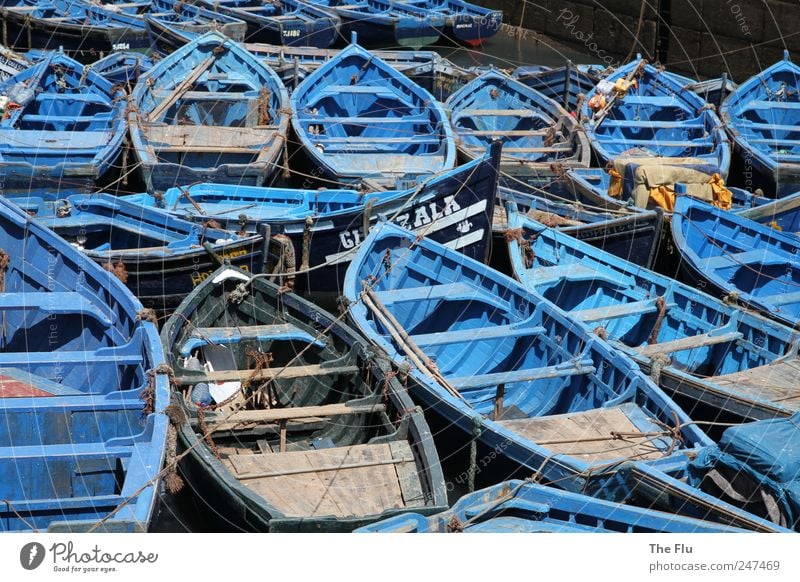 Bootspartie Fisch Angeln Ferien & Urlaub & Reisen Sommer Meer Fischer Hafen Wasser Küste Fischerdorf Schifffahrt Fischerboot Holz authentisch exotisch blau