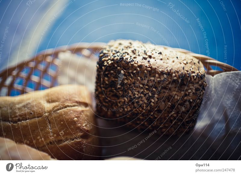 Körnerbrötchen Lebensmittel Teigwaren Backwaren Brot Brötchen Ernährung Frühstück Büffet Brunch Bioprodukte blau braun weiß "Nahrung gebacken Korb geflochten