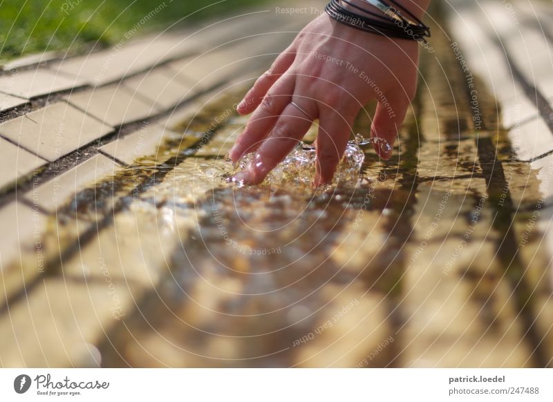 Plitsch-Platsch Maniküre Wellness Wohlgefühl Mensch Hand Wasser Sommer Schönes Wetter Accessoire Schwimmen & Baden berühren streichen tauchen Flüssigkeit frisch