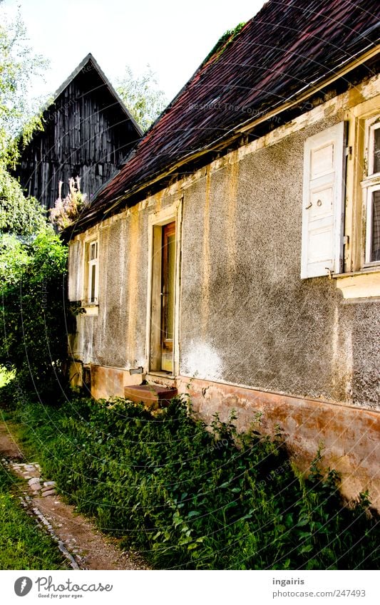 Verwunschen Häusliches Leben Haus Garten Scheune Pflanze Baum Gras Sträucher Dorf Menschenleer Mauer Wand Treppe Fassade Fenster Tür Dach Einfahrt alt einfach