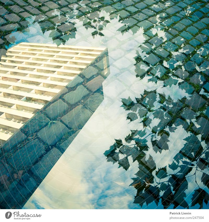 Häuschen im Grünen schön Zufriedenheit Haus Umwelt Natur Landschaft Urelemente Himmel Wolken Wetter Baum Stadt Hochhaus Bauwerk Gebäude Architektur ästhetisch