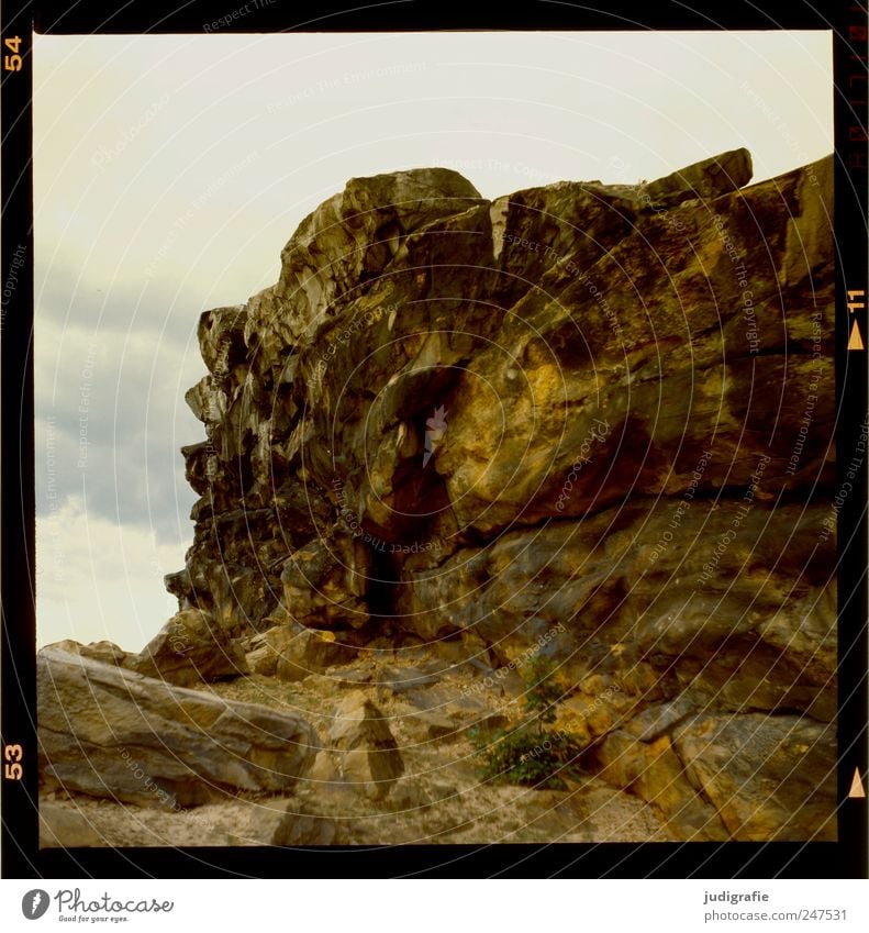 Teufelsmauer Umwelt Natur Landschaft Himmel Wolken Felsen Berge u. Gebirge Harz Sehenswürdigkeit natürlich wild Stimmung groß Sandstein Kreidezeit Harzvorland